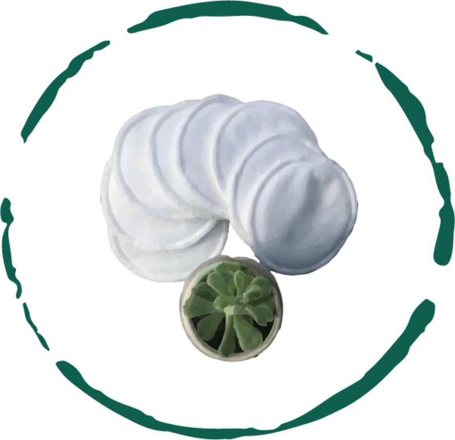 Eco-Friendly Bamboo Cotton Reusable Face Rounds shown as soft, white, circular cotton pads with a small succulent plant nearby.