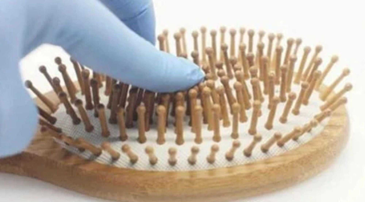 Eco-friendly bamboo paddle hairbrush with natural wooden bristles