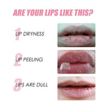 chart showing lip dryness, lip peeling, and dull lips with corresponding close-up photos of damaged lips illustrating dryness, peeling, and dullness for Honey Infused Lip Oil