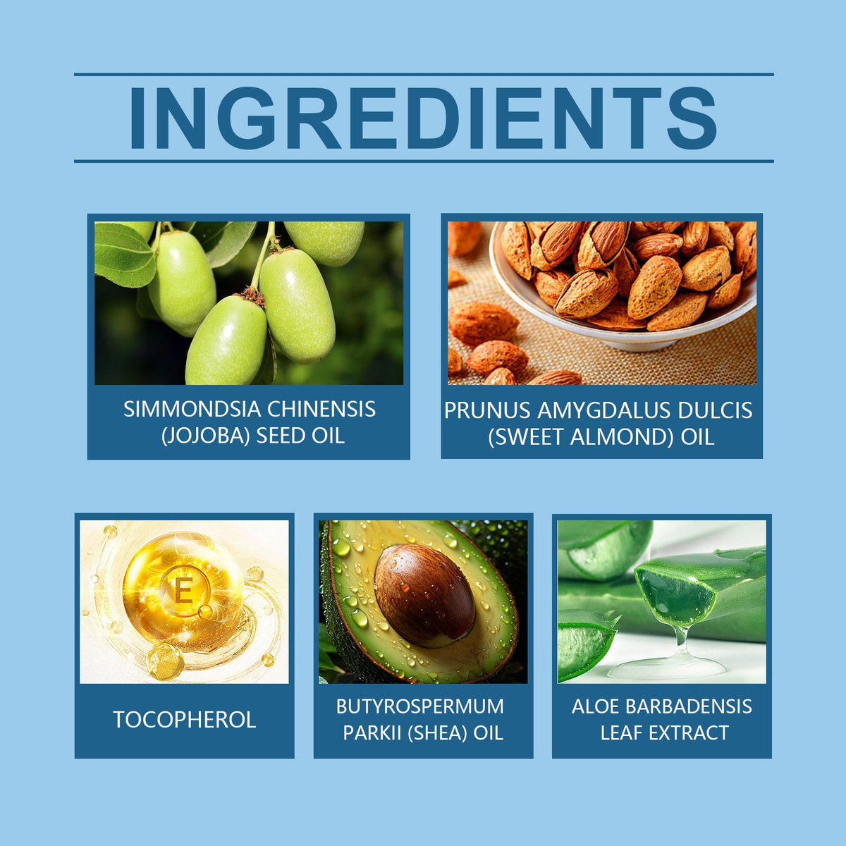 Lip Moisturizer ingredients including jojoba seed oil, sweet almond oil, vitamin E tocopherol, shea butter oil, and aloe leaf extract displayed in labeled boxes